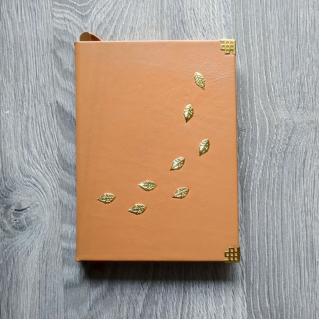 Grimoire cuir "Rafale de vent"