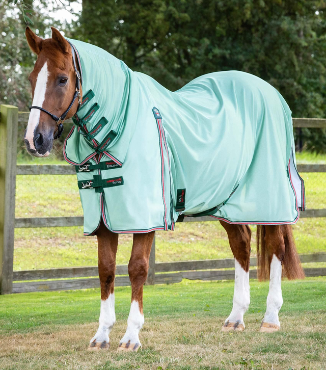 Premier Equine Combo Mesh Air Fly Rug