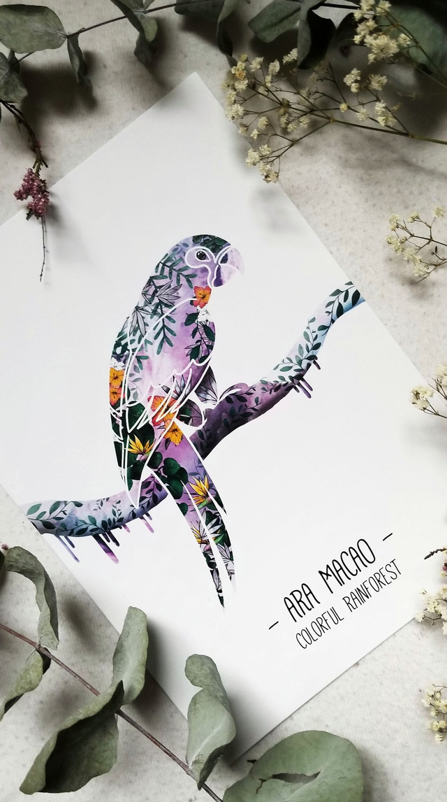 "Colorful Rainforest" Affiche A4