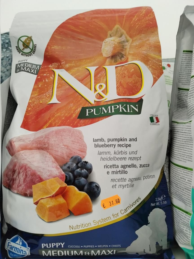 N&amp;D PUMPKIN MEDIUM&amp;MAXI PUPPY 