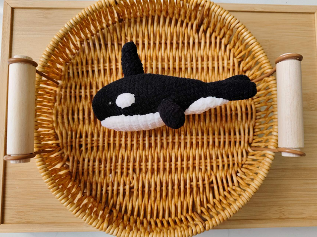 Shark
