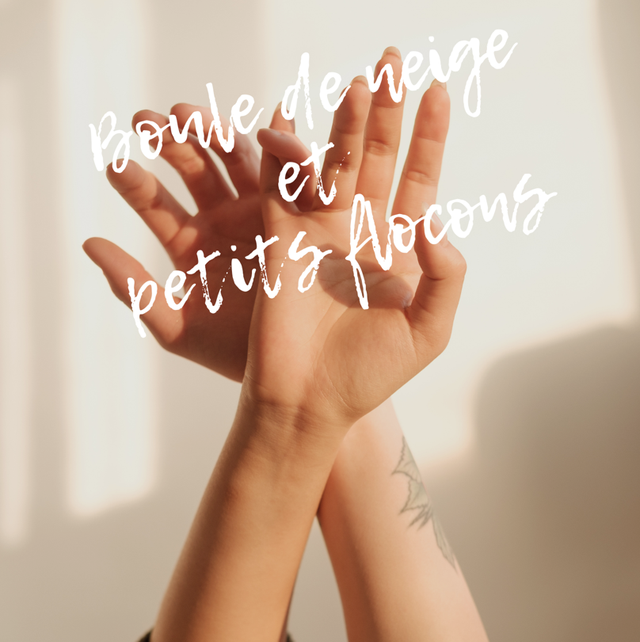 Boule de neige et petits flocons (3)