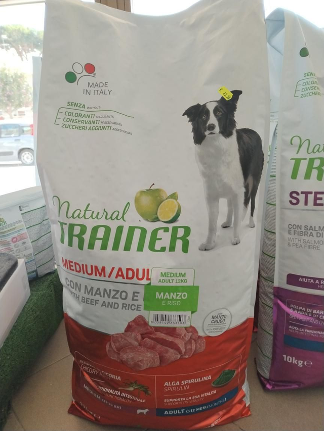 Natural Trainer Medium Adult 