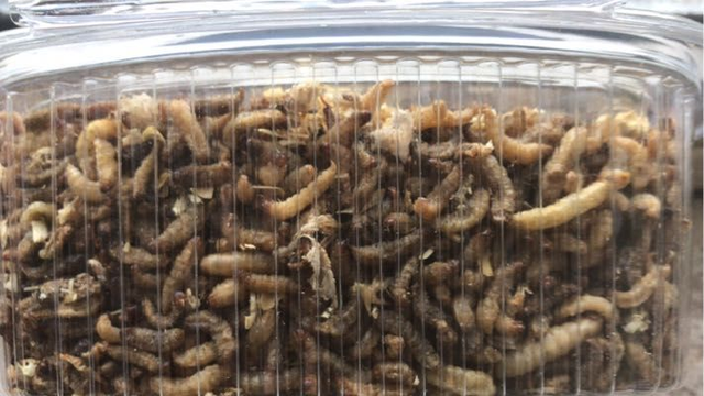 Camole del miele essiccate