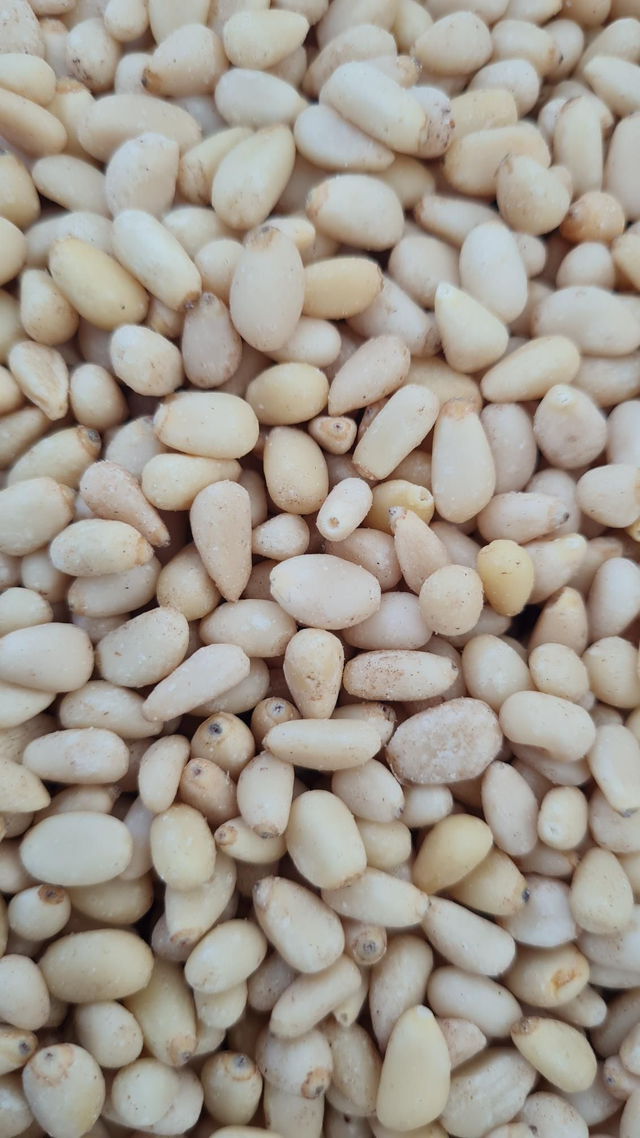 Pignon de Pin  (Prix au 100gr)