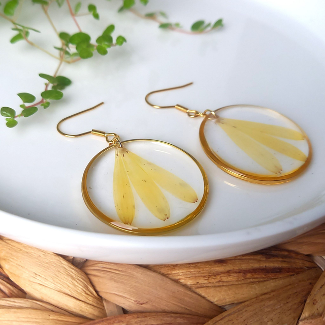 Boucles d'oreilles ∙ doré Fleurs séchées Calendula