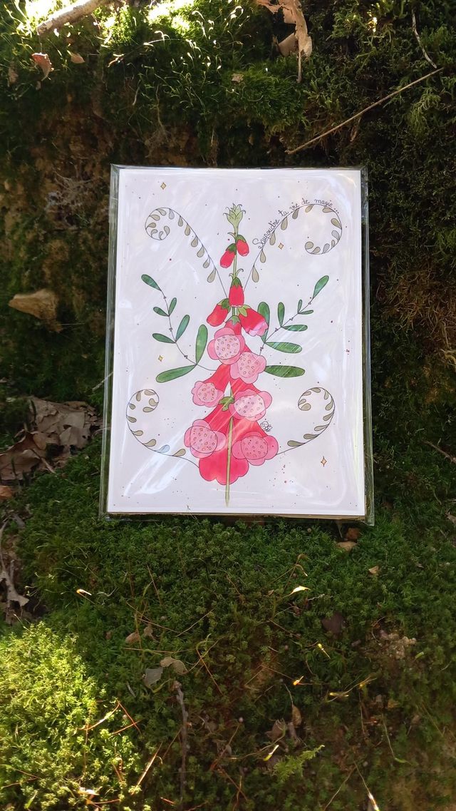 « Féerique digitale » reproduction A5