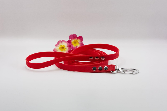 Laisse Hexa Douce Aventure — Classique (pour les chiens de moins de 15 kg)