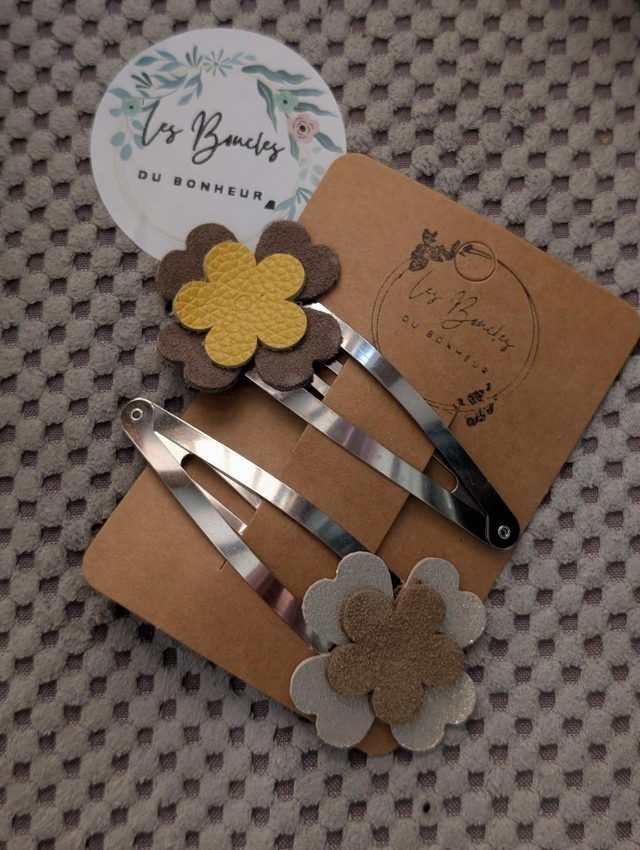 Barrette b032