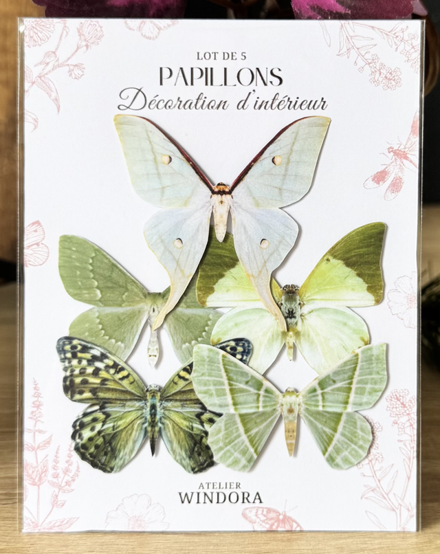 Lot de 5 Papillons Vert | Décoratifs