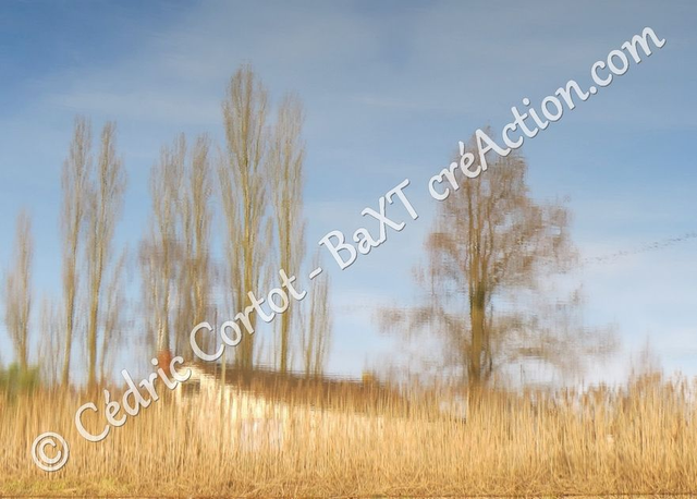 Carte postale - Reflets et cours d'Eau (Ref IMG_2127 )