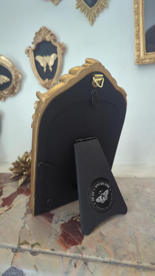 Cadre en arche dorée - crâne corbeau