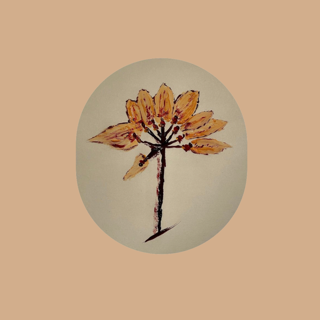 250g de Café COLOMBIE La Tormenta