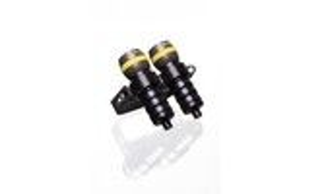 Ammonite Godmann handel double for 2x sting ray