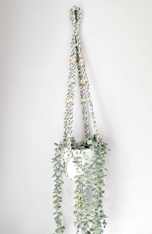 Plant Hanger (1)