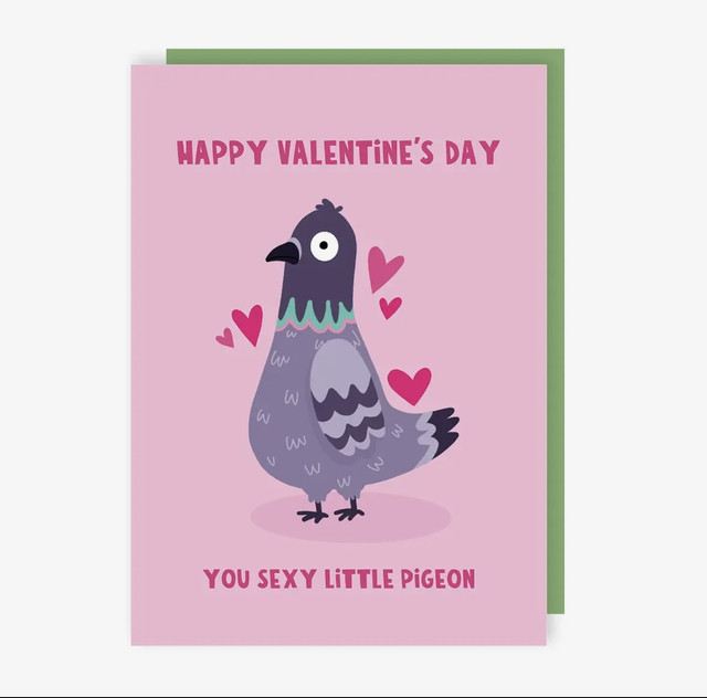 Happy Valentine’s Day you sexy little pigeon