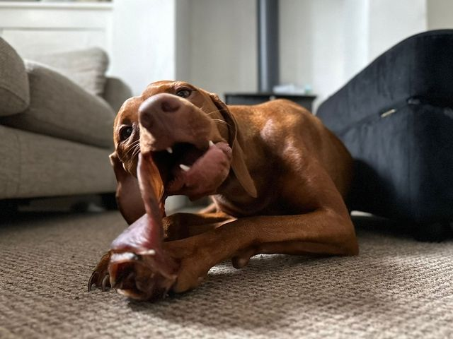 Large Pick &#039;n&#039; Mix Box