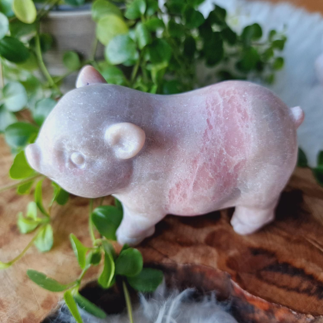 Pink Opal Pig Polished 