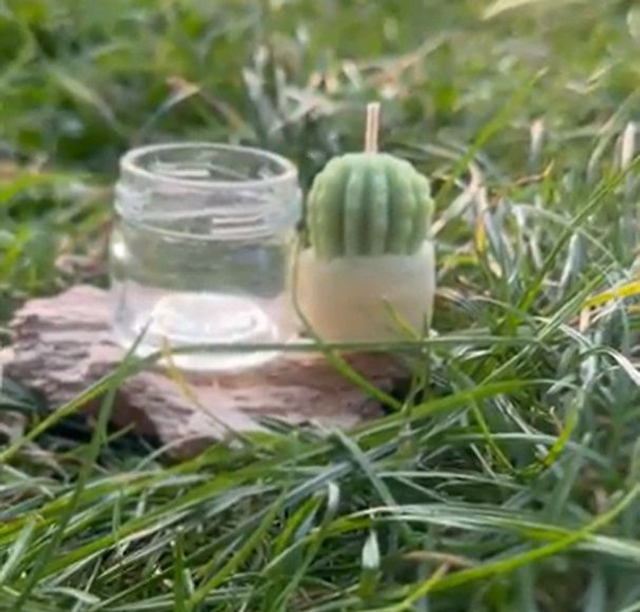 Jam Jar Candle Refill (Set of 4)