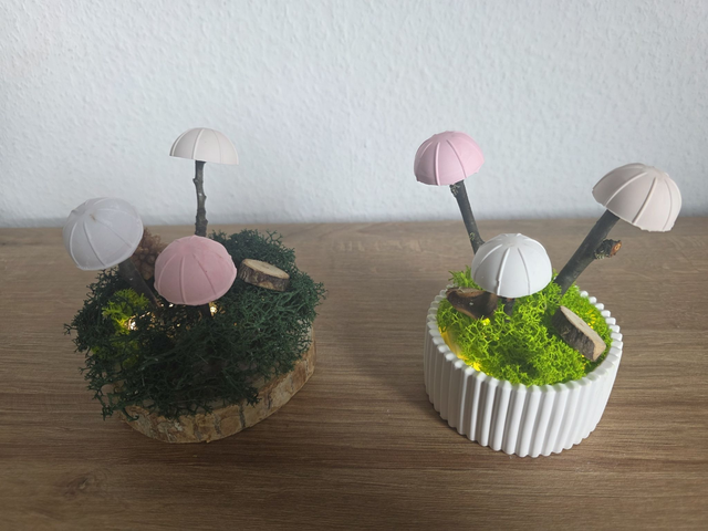 Pilze mit Beleuchtung