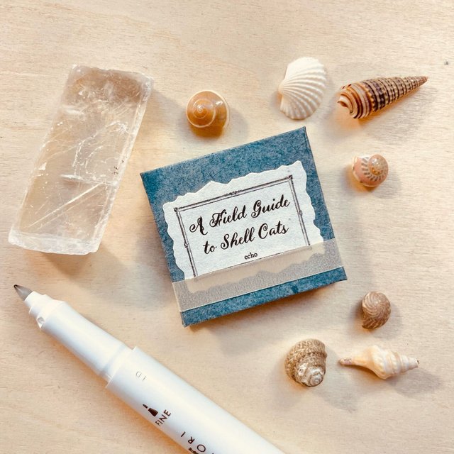 A Field Guide to Shell Cats