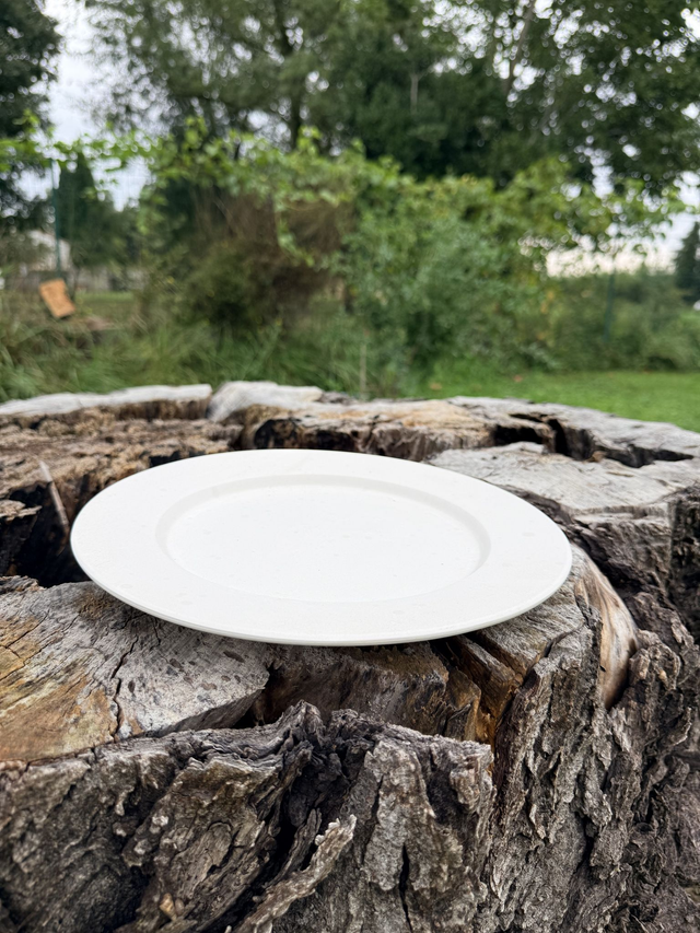 Assiette 26 cm