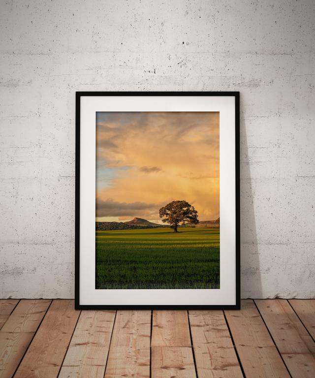 Golden Evening Light, Roseberry Topping