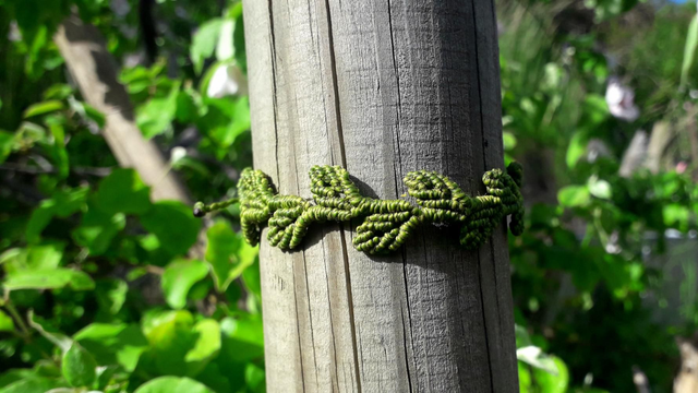 Bracelet feuille •