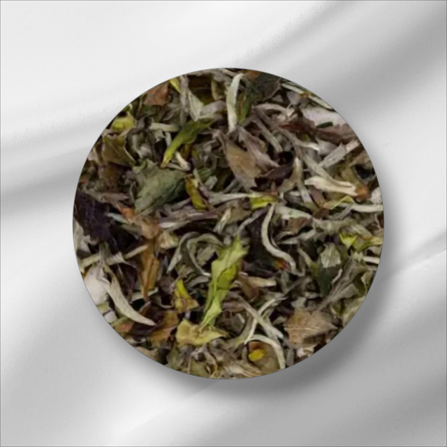 Infusion de feuilles de Thé blanc d'origine Pai Mu Tan premium