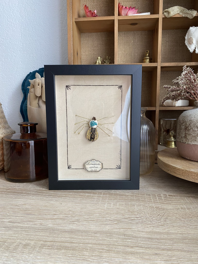 Planche naturaliste araignée noire dorée