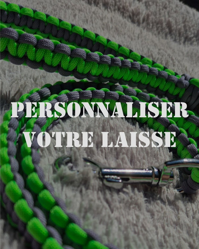 Laisse à personnaliser