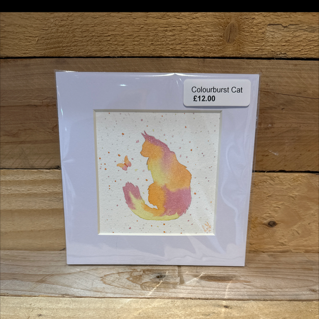 Colourburst Cat 