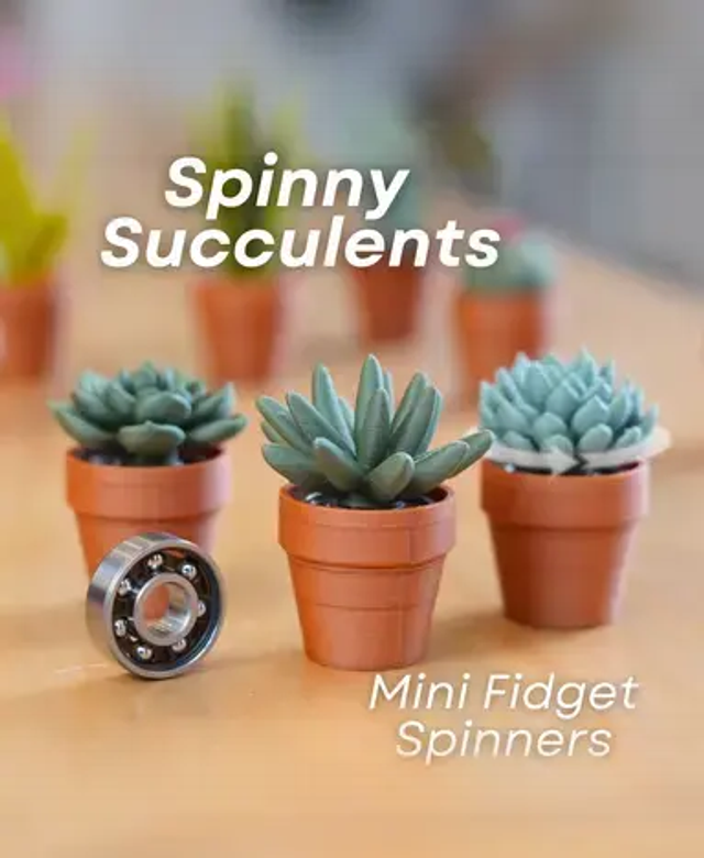 Spinny Succulents