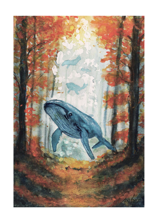 Baleine Automnale
