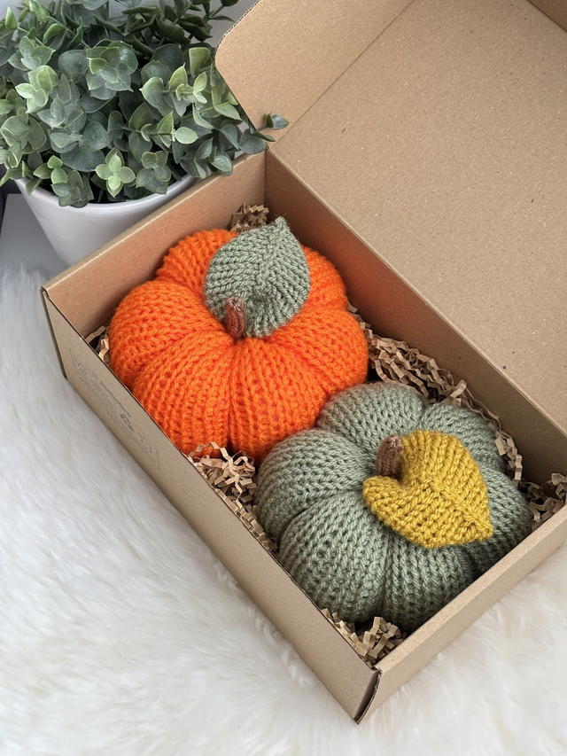 Citrouilles (Lot de 2)  