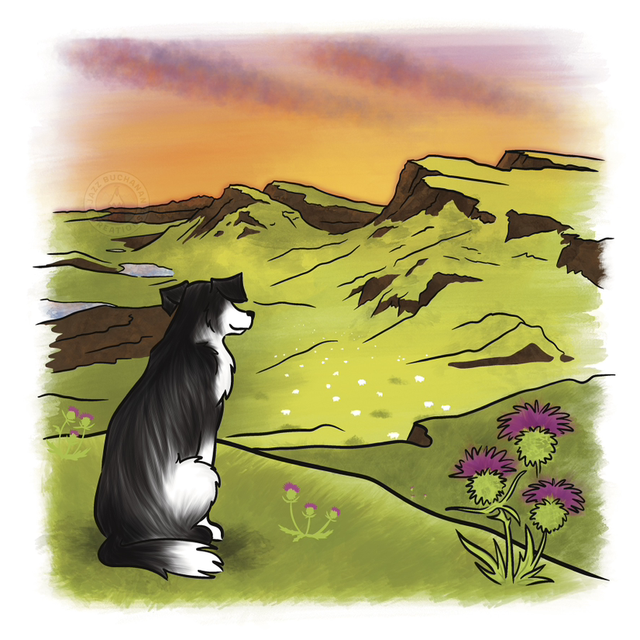 Quiraing Collie dog card