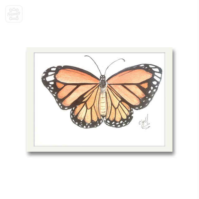 Lámina impresa mariposa monarca