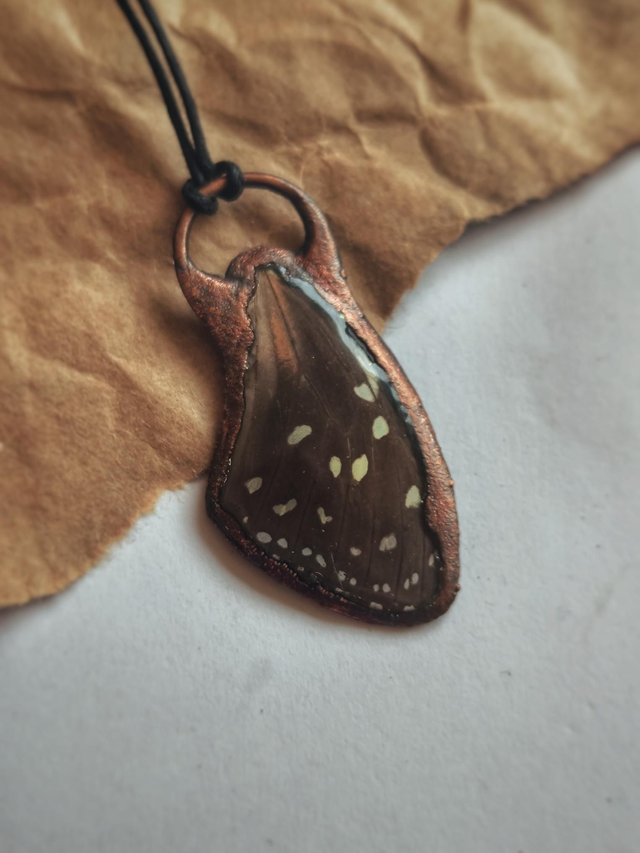 Heliconius Butterfly Wing &amp; Copper Necklace