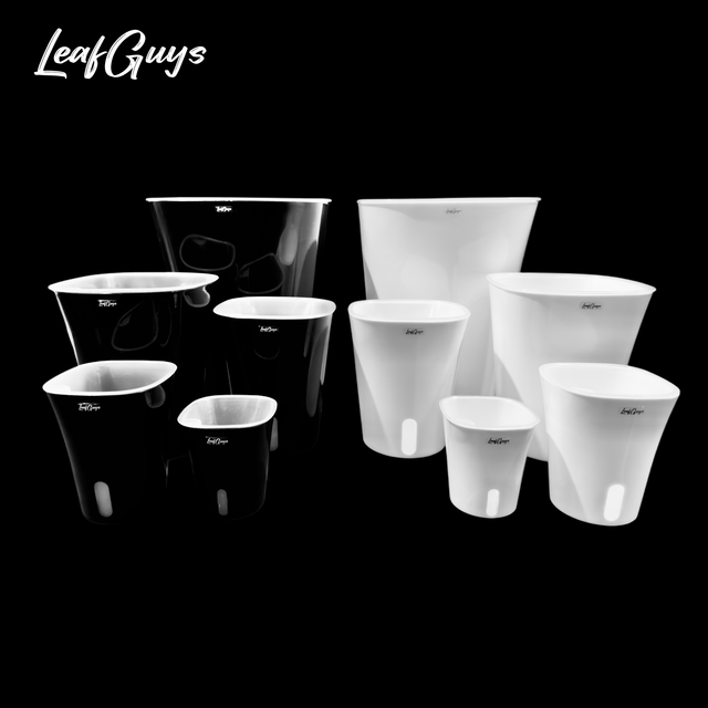 Selbstbewässerungs-Töpfe