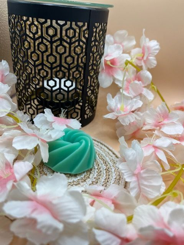 Fondant parfumé Aloe vera - 18 grammes