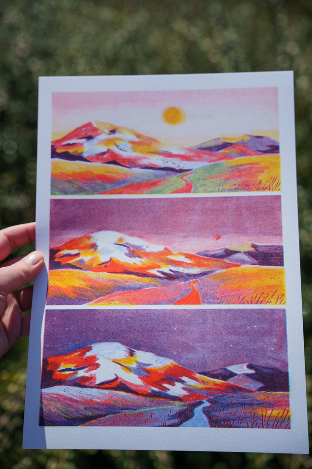 B-Grade riso prints