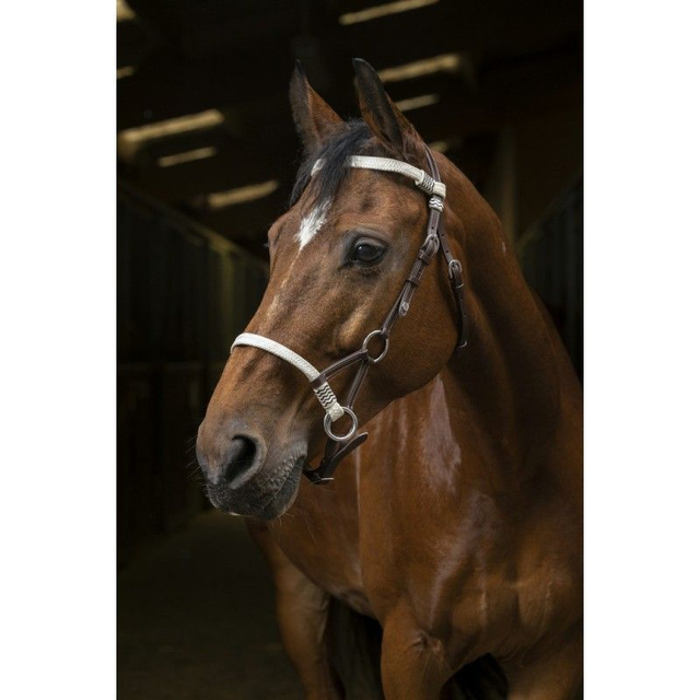 SIDE PULL NORTON PRO "TRESSE"