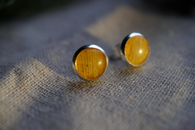 Clous d'oreilles - Ginkgo