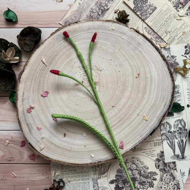 Feuille de freesia (personnalisable pour créer votre bouquet)