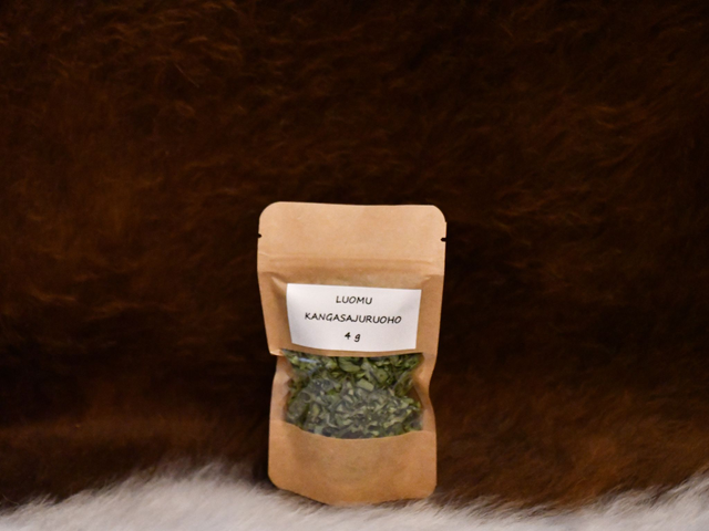 Kangasajuruoho 4g