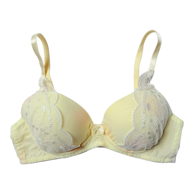 BNWT coquette yellow pompompurin sanrio bra 