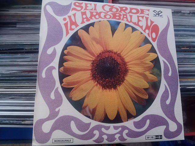 B. B. D&#039;Amario, Fidenzi – Sei Corde In Arcobaleno