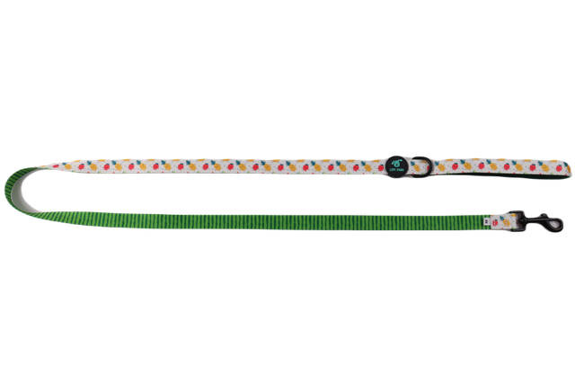 Tutti Frutti Leash