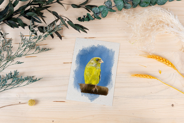 Graspapierkarte - Grünfink