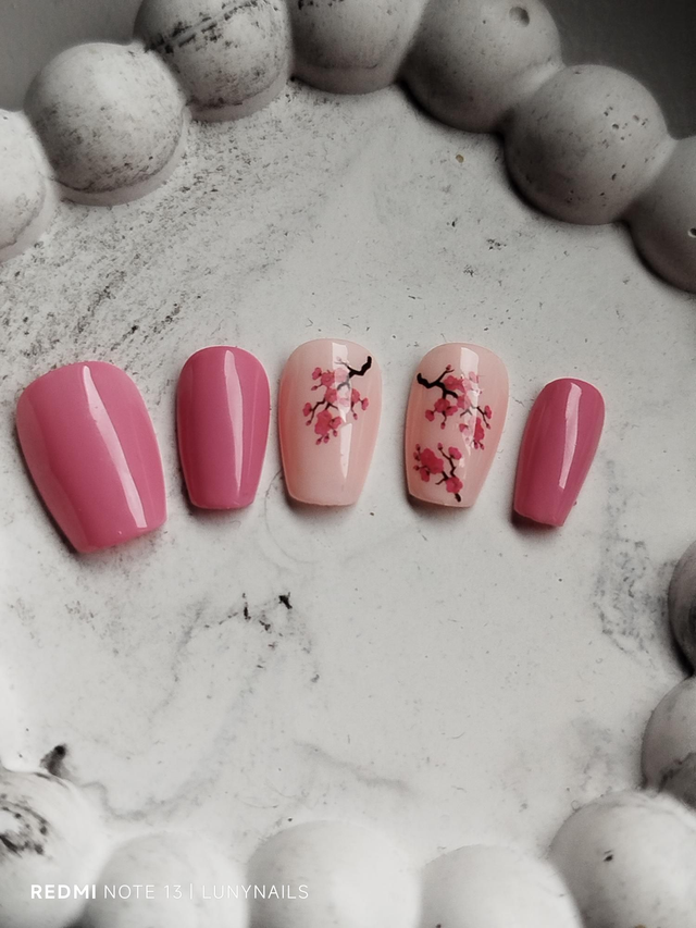 Fleurs de cerisier 